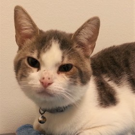 small photo of Leo