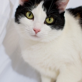 small photo of Marsha