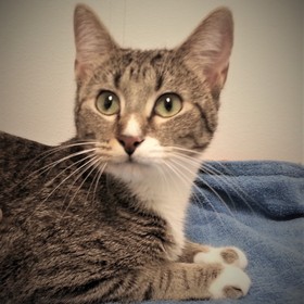 small photo of Cathy