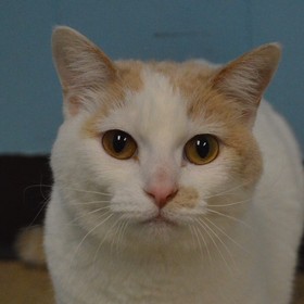 small photo of Tabitha