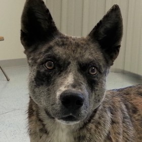 small photo of Cisco