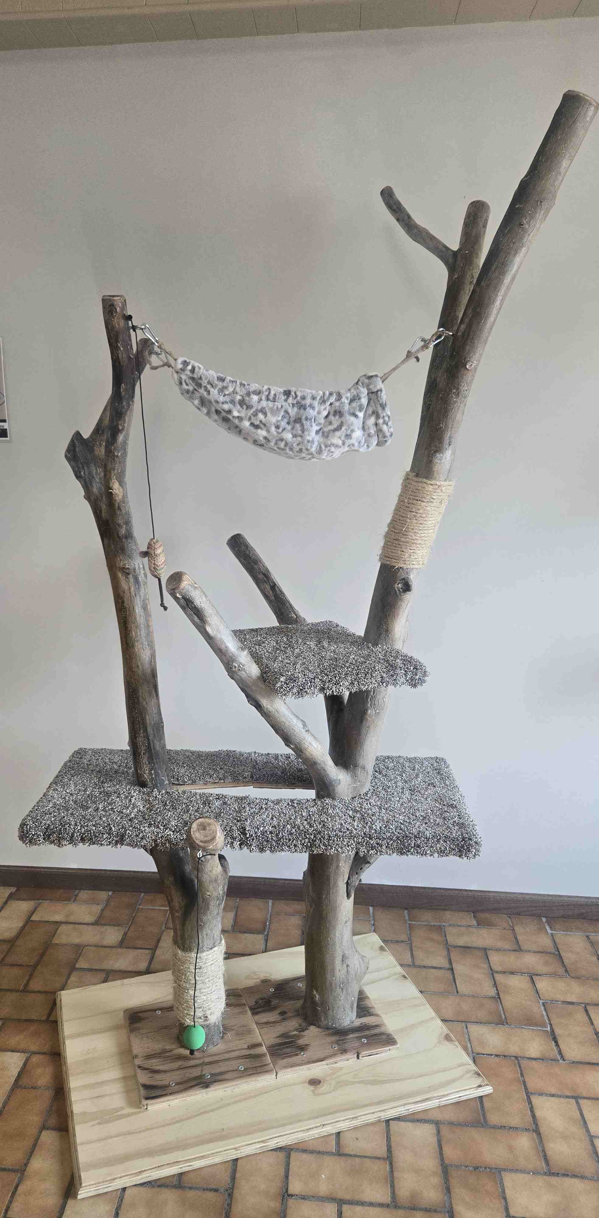 tree.jpg