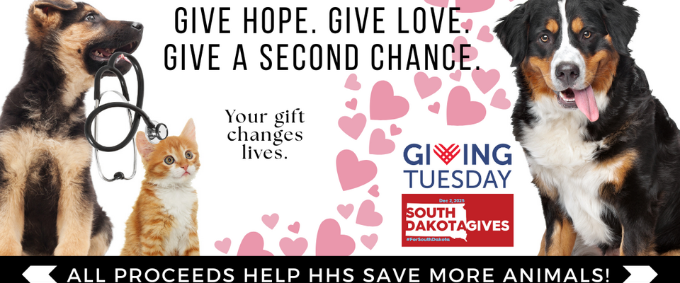 2025 Giving Tuesday Campaign Header.png